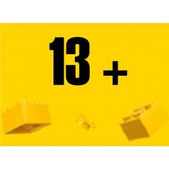 LEGO® podle věku od 13+