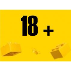 LEGO® podle věku od 18+
