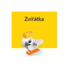 Zvířata
