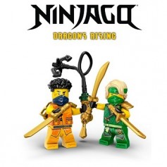 LEGO® NINJAGO® 2025