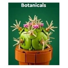 LEGO&reg; ICONS Botanicals