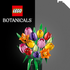 LEGO&reg; BOTANICALS