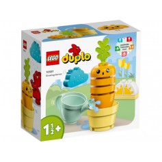 LEGO® 10981 DUPLO Pěstování mrkve