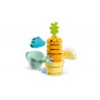 LEGO® 10981 DUPLO Pěstování mrkve