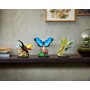 LEGO® 21342 IDEAS Sbírka hmyzu