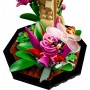 LEGO® 21342 IDEAS Sbírka hmyzu