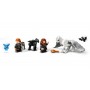 LEGO® 76432 HARRY POTTER™ Zapovězený les: Kouzelná stvoření