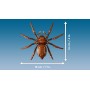 LEGO® 76434 HARRY POTTER™ Aragog v Zapovězeném lese