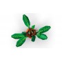LEGO® 76433 HARRY POTTER™ Mandragora