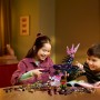LEGO® 71478 DREAMZzz™ Nikdyčarodějnice a její Půlnoční krkavec