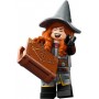 LEGO® 71047 Minifigurky – Dungeons and Dragons® Tasha the Witch Queen