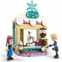 LEGO® 43256 DISNEY™ Anna a dobrodružství na saních