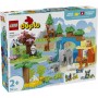 LEGO® 10446 DUPLO Rodinky divokých zvířat 3 v 1