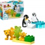 LEGO® 10442 DUPLO Rodinky divokých zvířat: Tučňáci a lvi