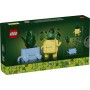 LEGO® 10349 BOTANICALS Veselé rostlinky