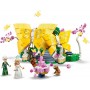 LEGO® 75688 WICKED