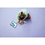 LEGO® 75687 WICKED
