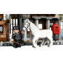 LEGO® 76457 HARRY POTTER™ Vesnice Prasinky – sběratelská edice