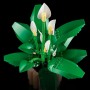 LEGO® 11504 BOTANICALS Potted Peace Lily