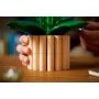 LEGO® 11504 BOTANICALS Potted Peace Lily